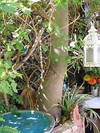 Living Like in a Cottage in the Center of Athens