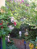 Living Like in a Cottage in the Center of Athens