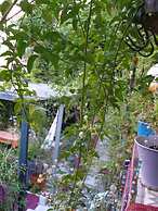 Dream Studio w h Private Balcony Central Athens