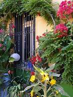 Dream Studio w h Private Balcony Central Athens