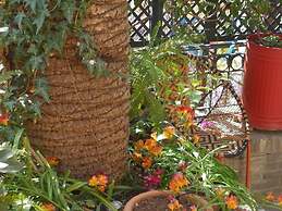 Dream Studio w h Private Balcony Central Athens