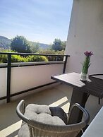 Apartments Harz Panorama