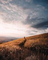 Mountain View 3br Loft Walk To Dt King Fireplace