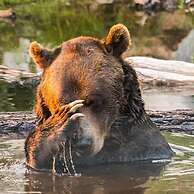 Mountain View 3br Loft Walk To Dt King Fireplace