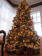 The Dawson House Bed & Breakfast