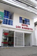 Hotel los magueyes