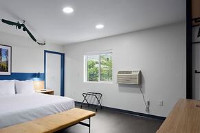 LOGE Missoula