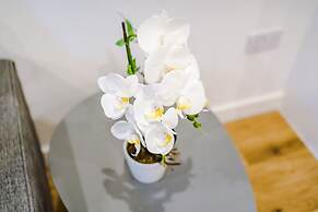 Outstanding,captivating Stays for Discounts Prices