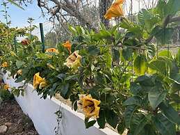 Inviting 4-bed Villa in Guia