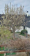 Bjerred B&B