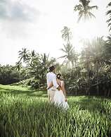 Bali Eco Stay