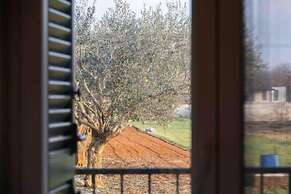 Isabell - With Swimming Pool - H