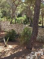 Eli - for Nature Lovers - A3