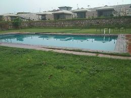 Sterling ReWild Sariska