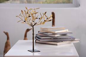 Villa Mira Paros  Luxury Suites