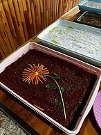 Olimpos Ada Bungalov