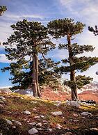 San Raffaele Hotel Restaurant & Resort