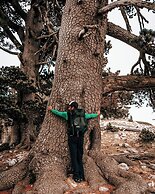 San Raffaele Hotel Restaurant & Resort