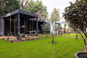 The Brondesbury by Nestor