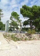 Oli - 20m From the Beach - 7 - R11