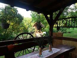 Bogdan - Countryside With hot tub - R2