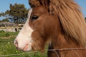 Apartamentos Vista Vedrá