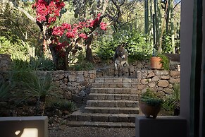 Sagrada Holistic Ranch