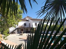 EL VIOLIN EXPERIENCIA