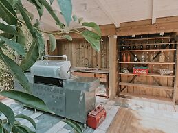 EL VIOLIN EXPERIENCIA