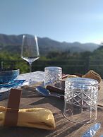 EL VIOLIN EXPERIENCIA