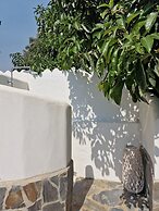 EL VIOLIN EXPERIENCIA