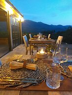 EL VIOLIN EXPERIENCIA