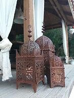 EL VIOLIN EXPERIENCIA