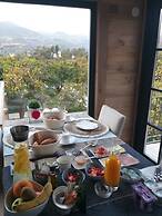 EL VIOLIN EXPERIENCIA