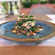 EL VIOLIN EXPERIENCIA