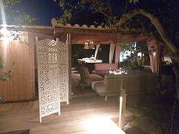 EL VIOLIN EXPERIENCIA