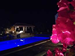 EL VIOLIN EXPERIENCIA