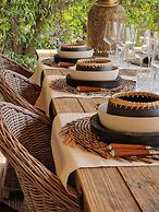 EL VIOLIN EXPERIENCIA