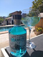 EL VIOLIN EXPERIENCIA