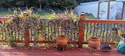 Rustic Elegance: Farmhouse Retreat In Covington 4 Bedroom Farmhouse by