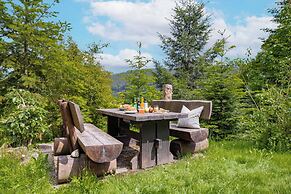 black forest apartments titisee