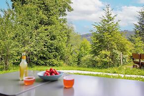 black forest apartments titisee