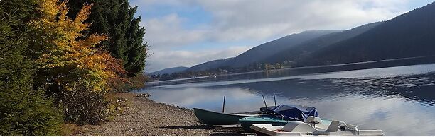 black forest apartments titisee