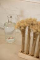 Angraplus