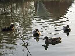 Billund Farm Holiday