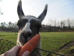 Billund Farm Holiday