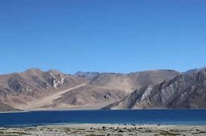 Blue Chill Cottage Pangong