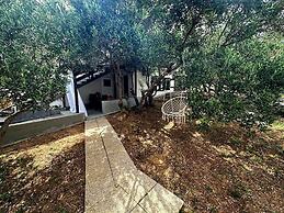 Martina - Large and Comfortable Apartments - SA2