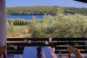 Berto - With Pool - H