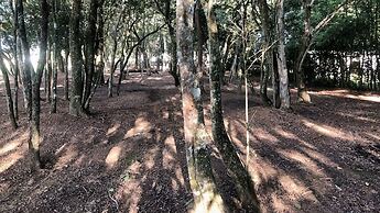 Cinematográfico, Encantador e Paradisíaco